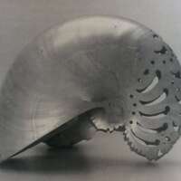 http://www.marselykehoe.org/images/MN_079.jpg