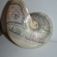 http://www.marselykehoe.org/images/MN_122.jpg