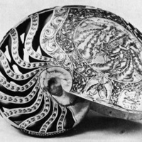 http://www.marselykehoe.org/images/MN_113.jpg